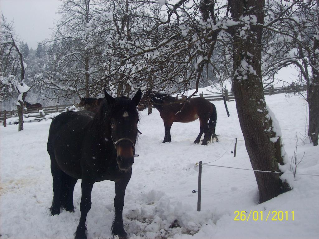 Appartements Oberhof วาไกรน์ ภายนอก รูปภาพ